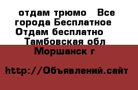 отдам трюмо - Все города Бесплатное » Отдам бесплатно   . Тамбовская обл.,Моршанск г.